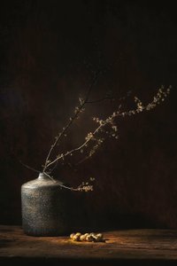  autorstwa Saskia Dingemans