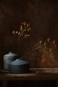 autorstwa Saskia Dingemans