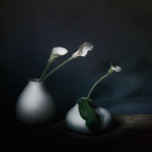 autorstwa Saskia Dingemans