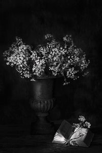  autorstwa Saskia Dingemans