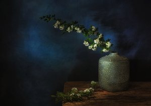  autorstwa Saskia Dingemans