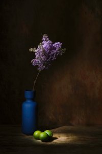  autorstwa Saskia Dingemans