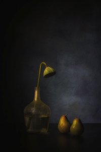  autorstwa Saskia Dingemans