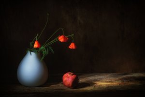  autorstwa Saskia Dingemans
