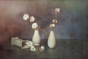  autorstwa Saskia Dingemans