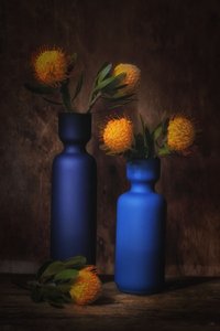  autorstwa Saskia Dingemans
