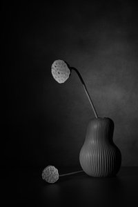  autorstwa Saskia Dingemans