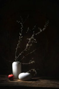  autorstwa Saskia Dingemans
