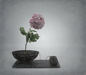  autorstwa Saskia Dingemans