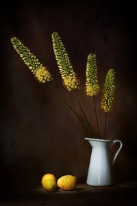  autorstwa Saskia Dingemans