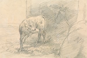 Cielę z głową krowy autorstwa Sawrey Gilpin