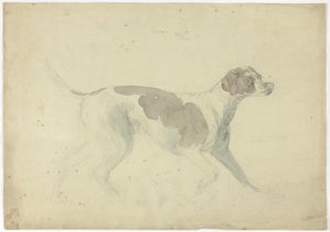 Fox Hound (recto); Szkice konia i jeźdźca (verso) autorstwa Sawrey Gilpin