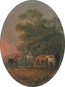 Klacze i źrebięta [1795, Royal Academy of Arts, Londyn, katalog wystawy] autorstwa Sawrey Gilpin