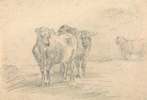 Dwie krowy na wzgórzu autorstwa Sawrey Gilpin