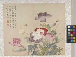 8-listkowy album z kwiatami, połowa XVIII wieku (tusz i kolor na papierze) autorstwa School Chinese