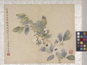 8-listkowy album z kwiatami, połowa XVIII wieku (tusz i kolor na papierze) autorstwa School Chinese