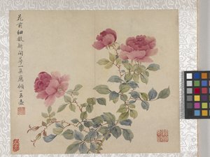 8-listkowy album z kwiatami, połowa XVIII wieku (tusz i kolor na papierze) autorstwa School Chinese