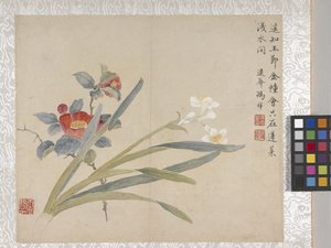 8-listkowy album z kwiatami, połowa XVIII wieku (tusz i kolor na papierze) autorstwa School Chinese