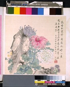 Album kwiatów i ptaków, data nieznana (tusz i kolor na jedwabiu) autorstwa School Chinese