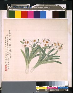 Album kwiatów i ptaków, data nieznana (tusz i kolor na jedwabiu) autorstwa School Chinese