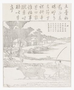 Orka bawołem wodnym w błotnistym ryżu niełuskany. autorstwa School Chinese