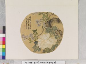 Biała Piwonia po Yun Shouping autorstwa School Chinese