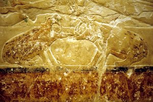 Starożytny Egipt, Rzeźba/malarstwo ścienne, Mastaba/Grobowiec Idout, Sakkara, 6. dynastia, Dwa walczące hipopotamy (zdjęcie) autorstwa School Egyptian