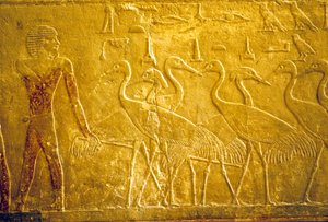 Starożytny Egipt, Rzeźba/malarstwo ścienne, Mastaba/Grobowiec Ti, Sakkara, V dynastia, Rolnik prowadzący oswojone żurawie (zdjęcie) autorstwa School Egyptian