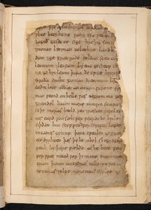 Strona Beowulfa z folio, czasami nazywana „Kodeksem Nowella” autorstwa School English