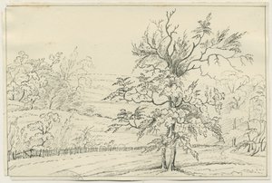 Cannock Chase: rysunek długopisem i ołówkiem, bd [?XIX w.] (rysunek) autorstwa School English