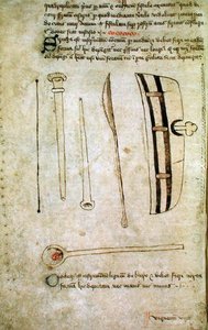 Pani Hunter 112 f.44v z „Speculum Phlebotomiae” Johna Arderne, c.1349-1450 (pióro i atrament na welinie) autorstwa School English