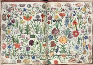 Strony z albumu Amicorum Philippa Hainhofera