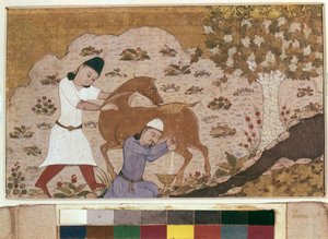 Dojenie onagera, koniec XV w. (akwarela, gwasz, kolor biały, tusz na papierze) autorstwa School Iranian