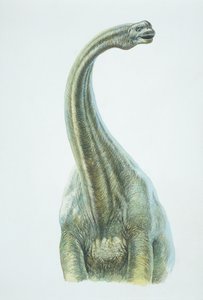 Brontozaur, okres jurajski (kolor lito) autorstwa School Italian