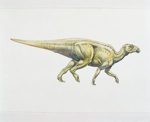 Hadrozaur lub dinozaur kaczodzioby (kolor lito) autorstwa School Italian