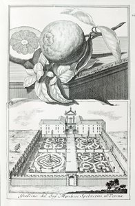 Willa markiza Spolveriniego z Werony, z „Wille, ogrody i krajobrazy w Wenecji” autorstwa A. Volkamera (grafika) autorstwa School Italian