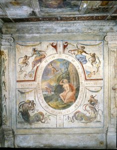Ściana w łazience Cosimo I de 