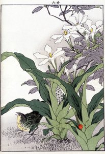Ptak w kwiatach - nadruk japoński autorstwa Japanese School