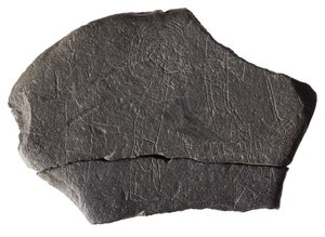 Kamień zakładnika, z wczesnośredniowiecznego klasztoru na wyspie, Inchmarnock, Bute, Szkocja, ok. VIII-IX w. n.e. (łupek) autorstwa Scottish School