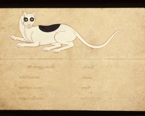 Fragment manuskryptu o kotach syjamskich, początek XX wieku (akwarela na papierze) autorstwa School Thai