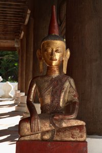 Tajski Lu Budda (Brązowy)