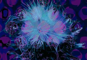 Karczoch (cyfrowy) autorstwa Scott J. Davis