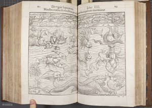 Kosmografia, Fol 852-853, 1544 autorstwa Sebastian Munster