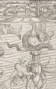 Kosmografia, Fol 853, 1544