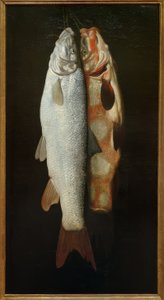 Ryba martwa natura autorstwa Sebastian Stosskopf