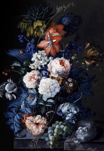 Martwa natura z ptasim gniazdem. Obraz autorstwa Sebastiana Wegmayra (1776-1857) Kolekcja prywatna. autorstwa Sebastian Wegmayr