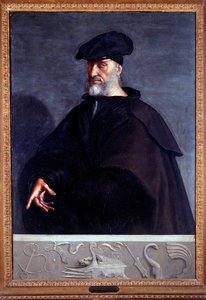 Portret Andrei Dorii, włoski kondotier (olej na płótnie)