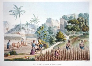 Robotnicy rolni, Guam, Filipiny, z "Voyage Autour du Monde (1817-20)" Louisa Claude