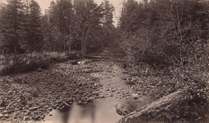 Marion River w obozie Bassetta