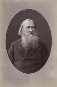 Portret poety Aleksieja Nikołajewicza Pleshcheeva 1825-1893, 1870